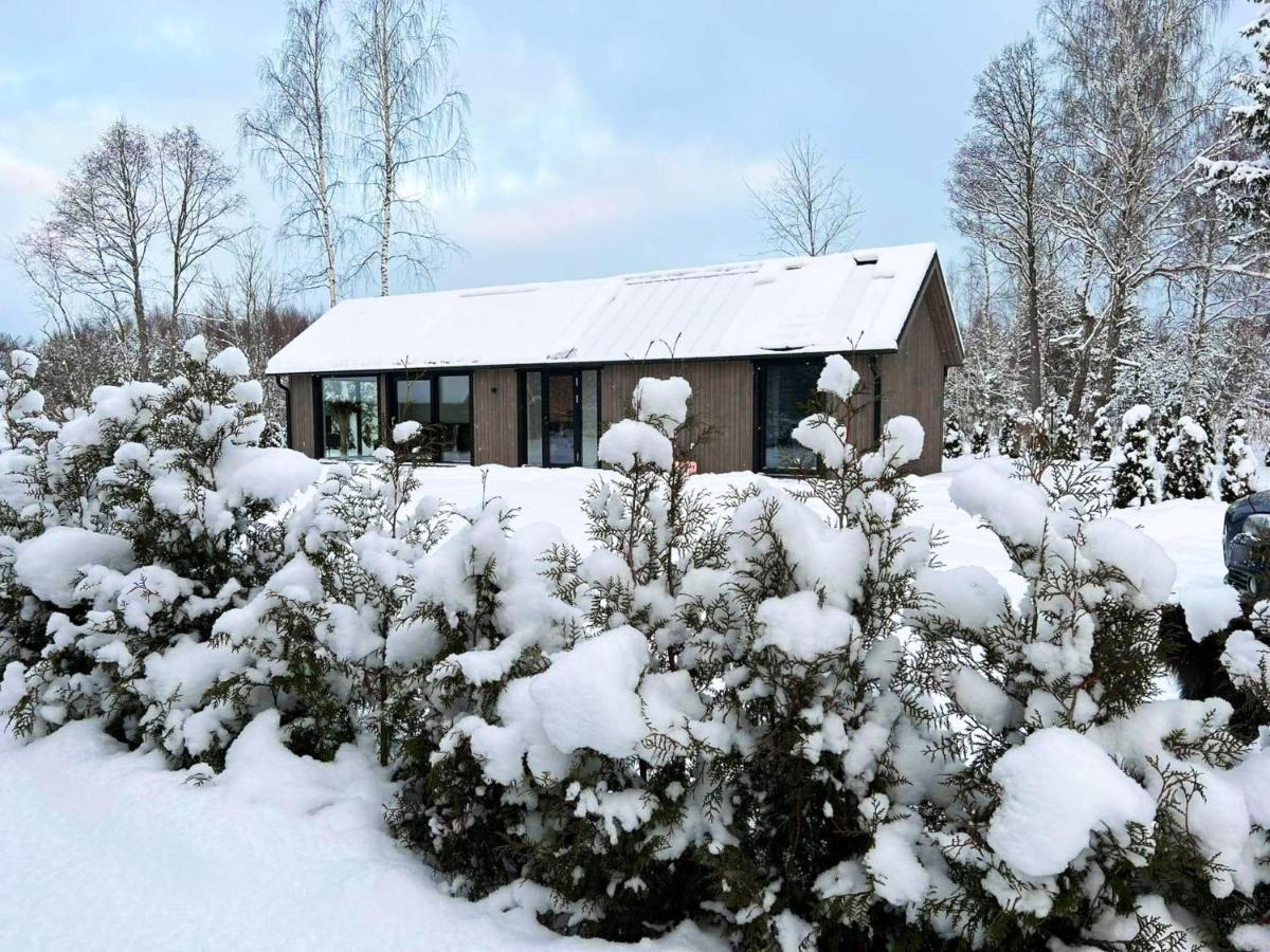 Paerli Puhkemaja / Pearl Riverside House Pudisoo Exterior foto